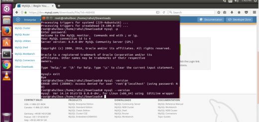 Install MySQL 8.0 on Ubuntu 16.04